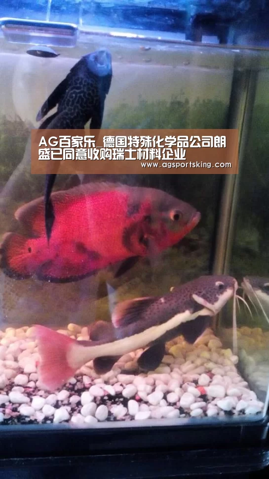 AG官网