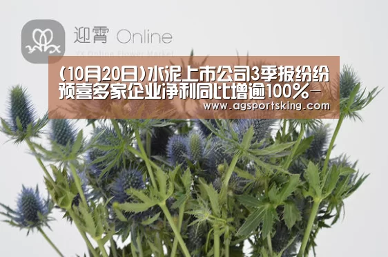 AG百家乐