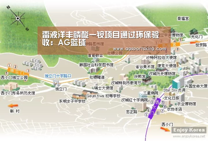 雷波洋丰磷酸一铵项目通过环保验收:AG篮球(图1) AG棋牌