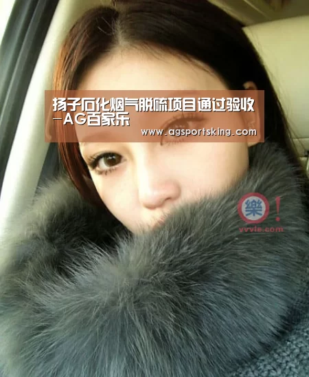扬子石化烟气脱硫项目通过验收-AG百家乐(图2) AG篮球