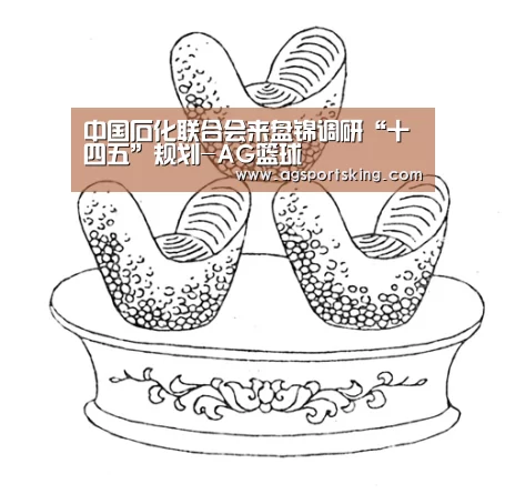 中国石化联合会来盘锦调研“十四五”规划-AG篮球(图1) AG百家乐