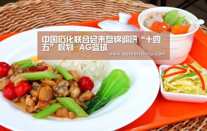 中国石化联合会来盘锦调研“十四五”规划-AG篮球(图2) AG棋牌