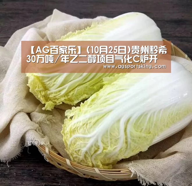 【AG百家乐】(10月25日)贵州黔希30万吨/年乙二醇项目气化C炉开车(图3) AG官网