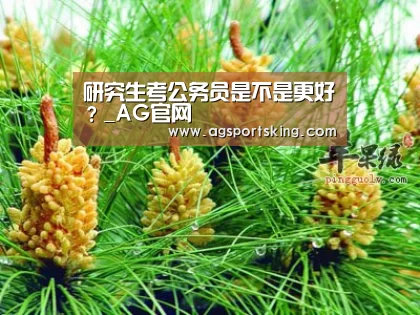 研究生考公务员是不是更好?_AG官网(图2) AG百家乐