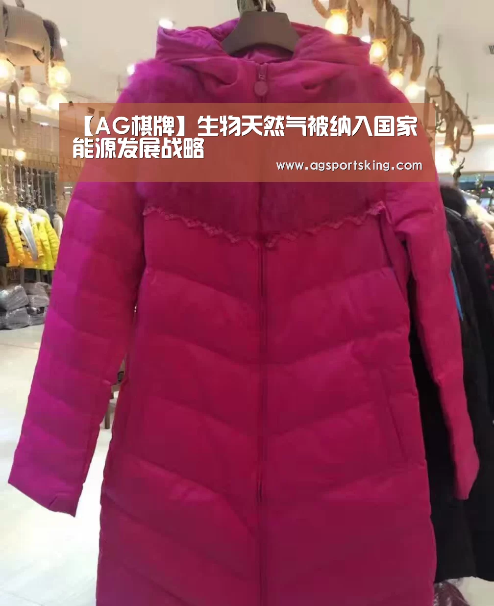 【AG棋牌】生物天然气被纳入国家能源发展战略(图1) AG百家乐