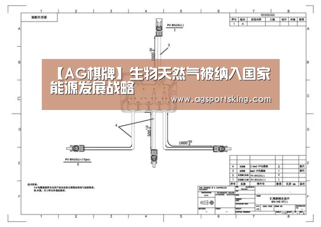 【AG棋牌】生物天然气被纳入国家能源发展战略(图2) AG篮球