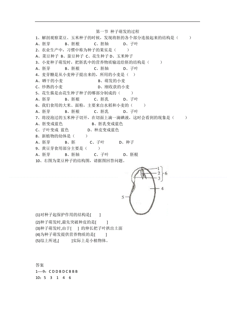 AG篮球